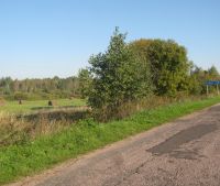 Новгородская область, Старорусский район, д. Котецко Участок №3