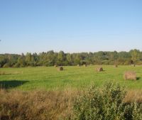Новгородская область, Старорусский район, д. Котецко Участок №3