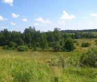 Новгородская область, Старорусский район, д. Толочно Участок №4