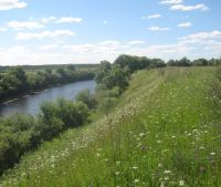 Новгородская область, Старорусский район, д. Кондратово Участок №5