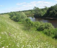 Новгородская область, Старорусский район, д. Кондратово Участок №5