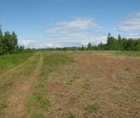 Новгородская область, Старорусский район Участок №6