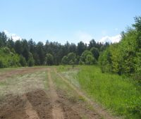 Новгородская область, Старорусский район Участок №6