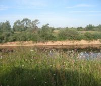 Новгородская область, Старорусский район, д. Кондратово Участок №7