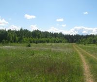 Новгородская область, Старорусский район Участок №8