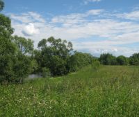 Новгородская область, Старорусский район Участок №8