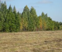 Новгородская область, Старорусский район, д. Гарижа Участок №10