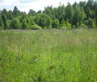 Новгородская область, Старорусский район, д. Малая Козона Участок №11