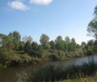 Новгородская область, Старорусский район Участок №12