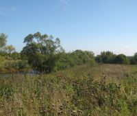 Новгородская область, Старорусский район Участок №13