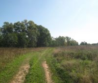 Новгородская область, Старорусский район Участок №13