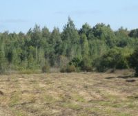 Новгородская область, Старорусский район Участок №14