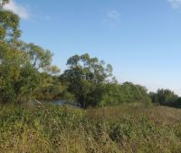 Новгородская область, Старорусский район, д. Малая Козона Участок №15