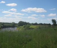 Новгородская область, Старорусский район Участок №17