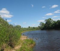 Новгородская область, Старорусский район, д. Кондратово Участок №18