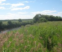 Новгородская область, Старорусский район, д. Кондратово Участок №18