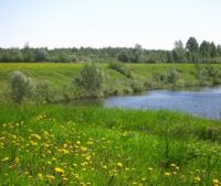 Новгородская область, Старорусский район, д. Кондратово Участок №20