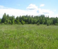 Новгородская область, Старорусский район Участок №24