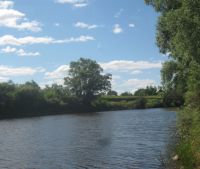 Новгородская область, Старорусский район, д. Кондратово Участок №25