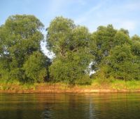 г. Старая Русса Участок №30