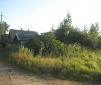 Новгородская область, Старорусский район, д. Малая Козона Участок №34