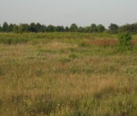 г. Старая Русса Участок №35