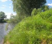 г. Старая Русса Участок №39