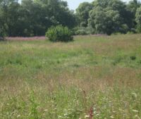 г. Старая Русса Участок №39