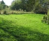 Новгородская область, Старорусский район Участок №41