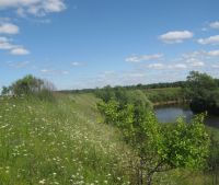 Новгородская область, Старорусский район Участок №43