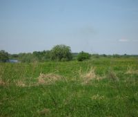 Новгородская область, Старорусский район, д. Гарижа Участок №44