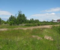 Новгородская область, Старорусский район, д. Малая Козона Участок №49