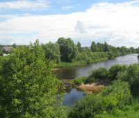 Новгородская область, Старорусский район, д. Малая Козона Участок №50