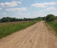 Новгородская область, Старорусский район, д. Малая Козона Участок №51