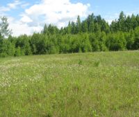 Новгородская область, Старорусский район, д. Малая Козона Участок №51