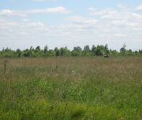 Новгородская область, Старорусский район, д. Кочериново Участок №52