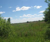 Новгородская область, Старорусский район, д. Кочериново Участок №52