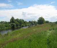 Новгородская область, Старорусский район, д. Малая Козона Участок №54