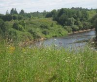 Новгородская область, Старорусский район Участок №58