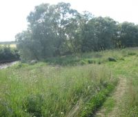 Новгородская область, Старорусский район Участок №58