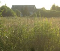 Новгородская область, Старорусский район, д. Кочериново Участок №59