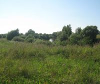 Новгородская область, Старорусский район, д. Кондратово Участок №60