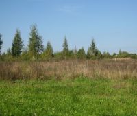 г. Старая Русса Участок №64