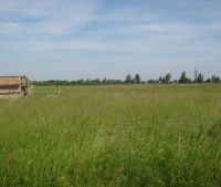 г. Старая Русса Участок №71