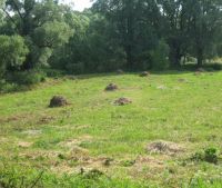 г. Старая Русса Участок №76