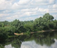 г. Старая Русса Участок №80