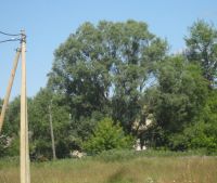 г. Старая Русса Участок №81