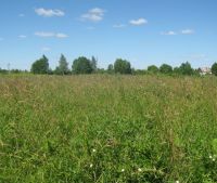 г. Старая Русса Участок №82