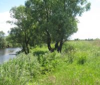 г. Старая Русса Участок №93