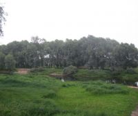 г. Старая Русса Участок №98